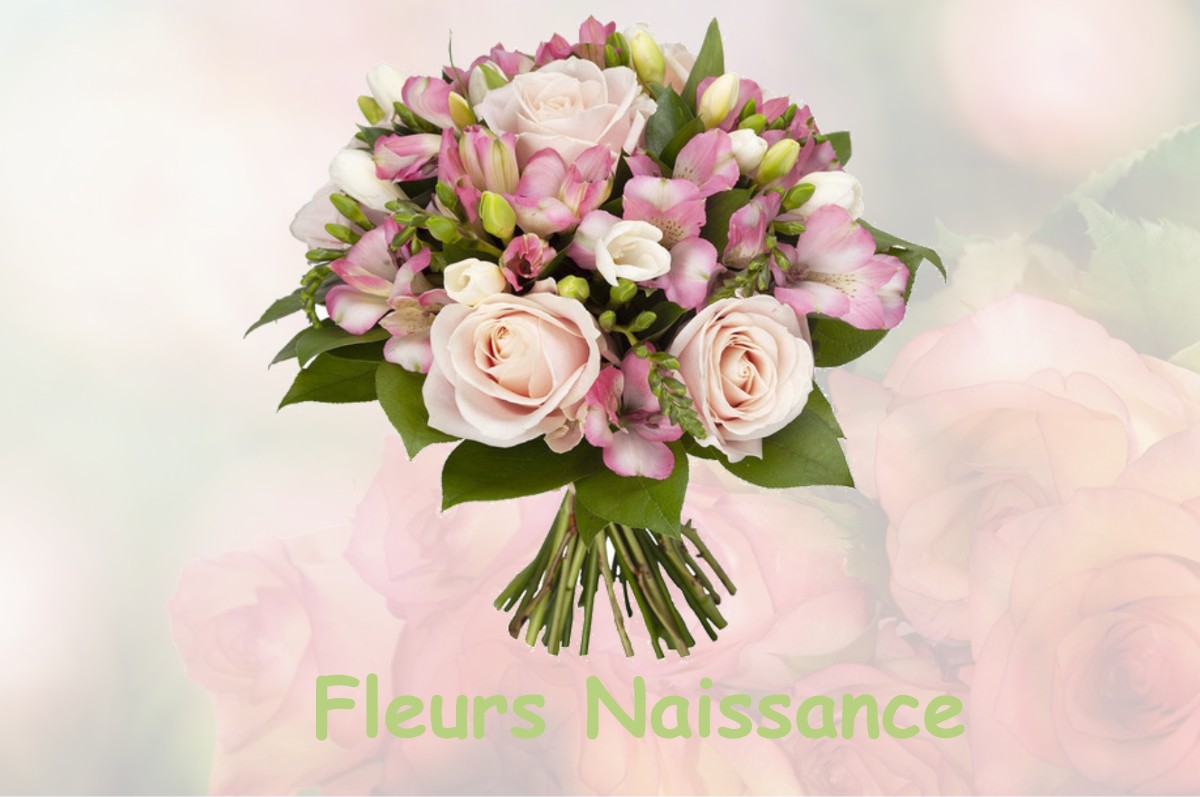 fleurs naissance BOULOGNE-SUR-GESSE