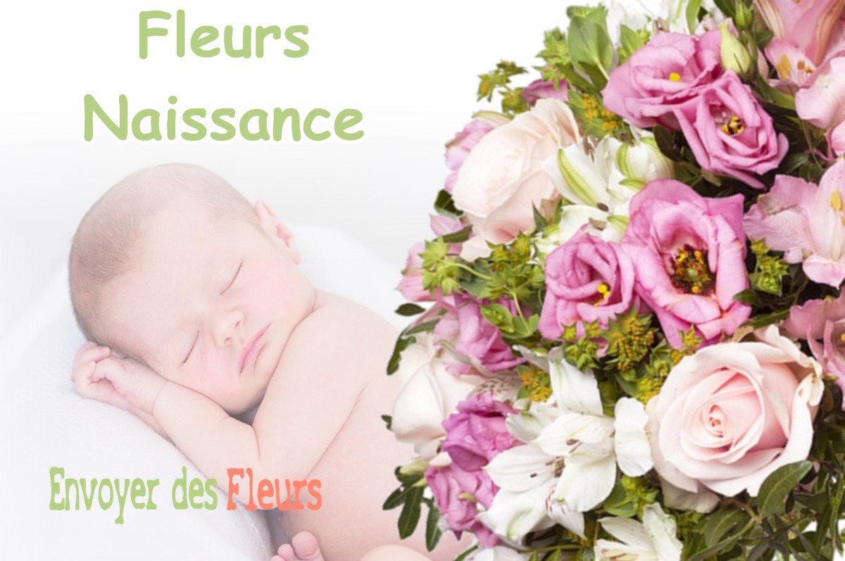 lIVRAISON FLEURS NAISSANCE à BOULOGNE-SUR-GESSE